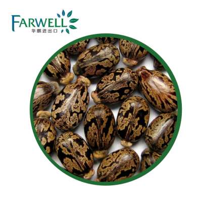 Farwell CAS#8001-79-4 High Quality 100% Natural Essential Oil Castor Oil