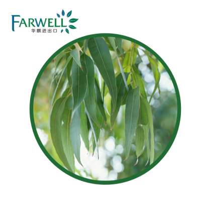 Farwell High Quality Natural Eucalyptus Oil 80% Globulus CAS#8000-48-4 Essential Oils